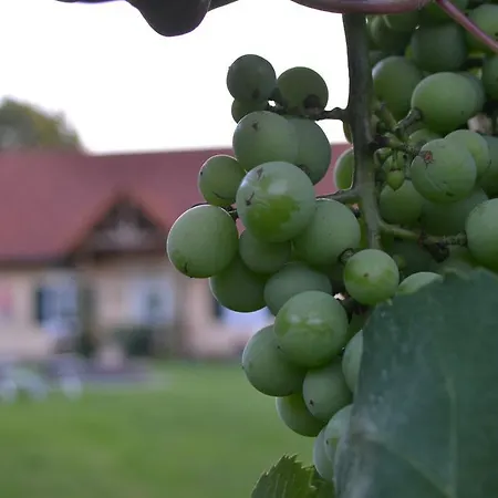 Gastehaus Taucher Quarto em Acomodações Particulares *