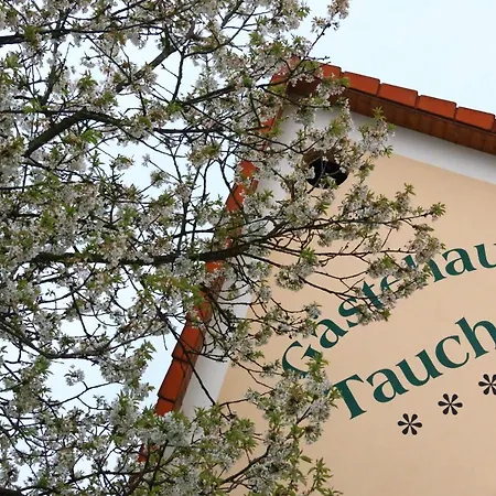 Gastehaus Taucher Quarto em Acomodações Particulares Bad Blumau