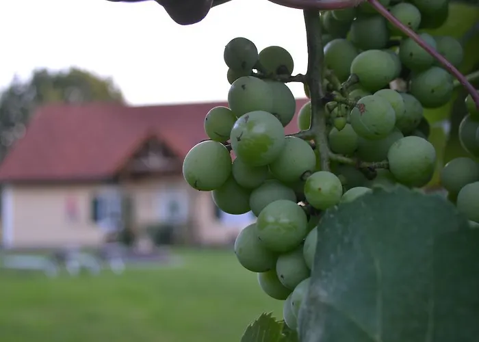 Gastehaus Taucher منزل للإقامة *