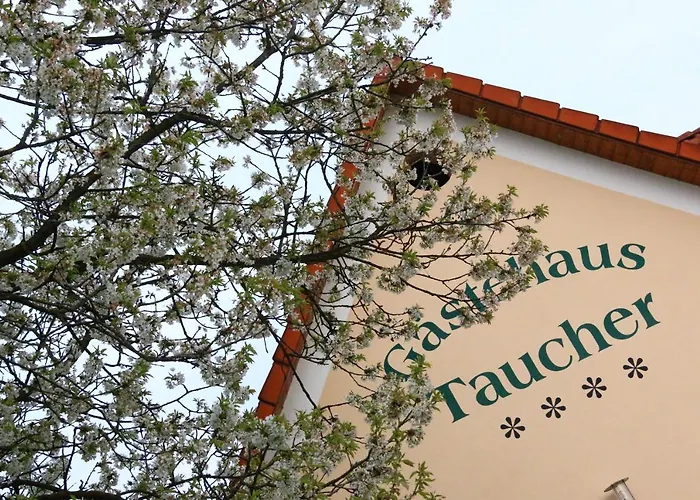 Gastehaus Taucher בית אירוח באד בלומאו